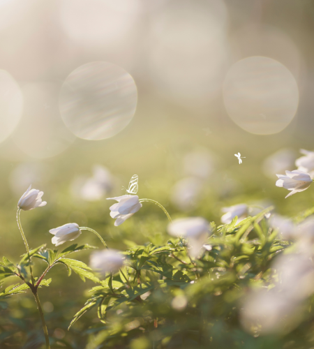 Green And White Natural Hello April Facebook Cover