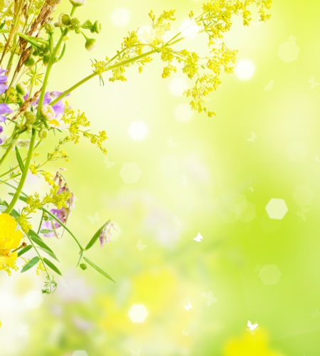 Green And Yellow Natural Hello June Facebook Cover