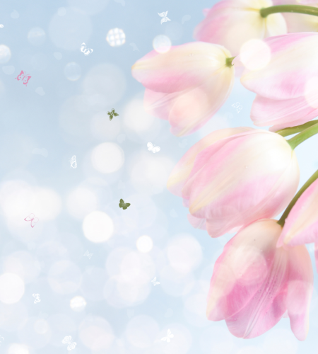 Pink Delicate Floral Hello Spring Facebook Cover